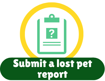 Submit a lost pet report